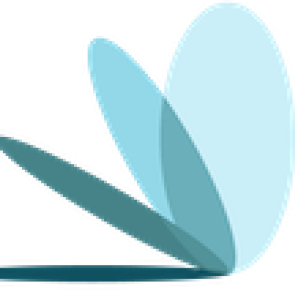 Transparent Partners