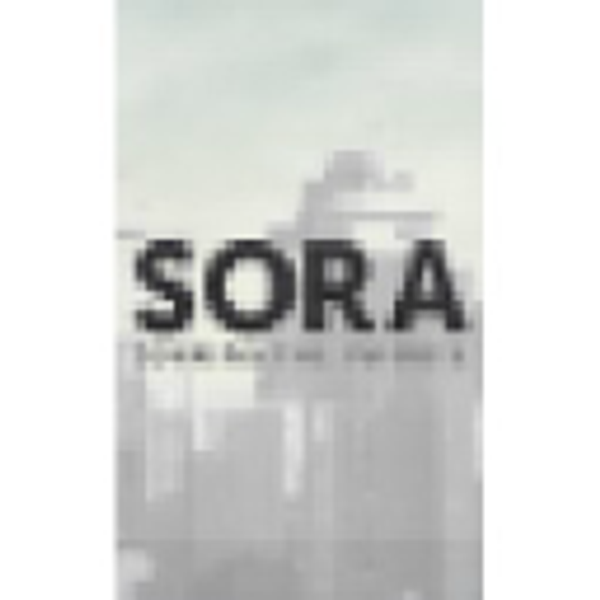 Sora School
